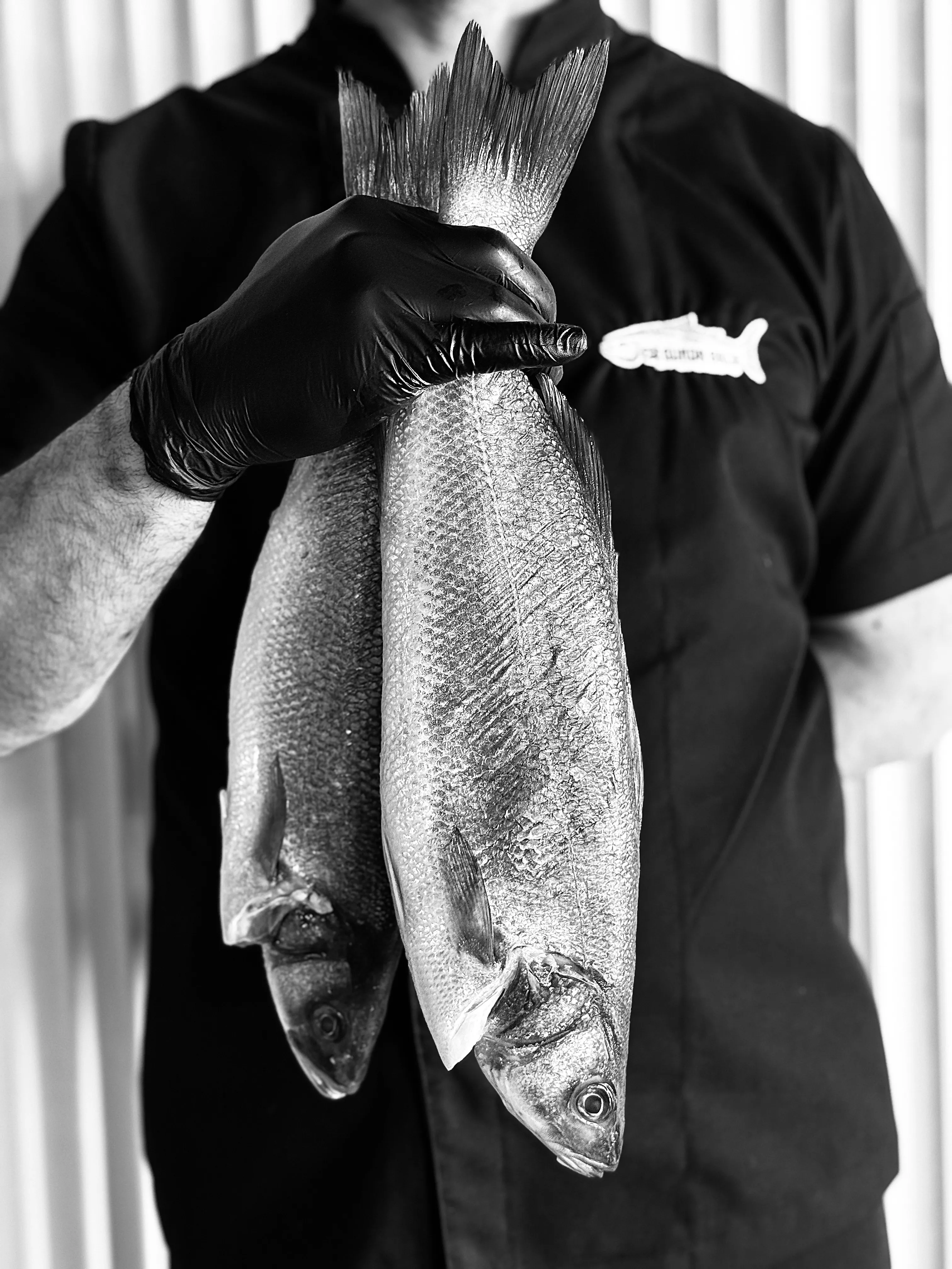 Summer star: Sea bass
